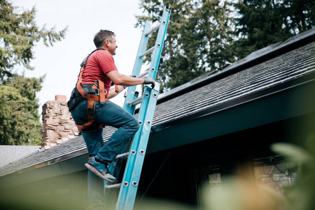 Best Chimney Flashing Repair  in Inglewood, CA